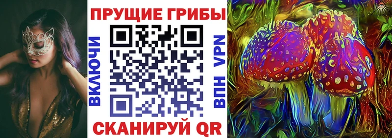где купить   Коммунар  Галлюциногенные грибы прущие грибы 